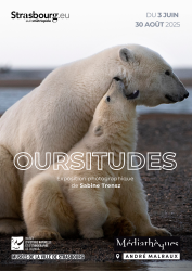 28_ours.png