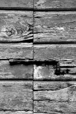 AdobeStock_1910418211 (1).jpeg