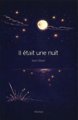 29_nuit.png