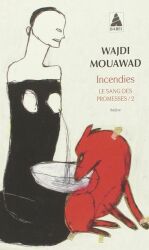 28_incendies.jpg